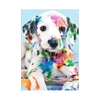 DIY 5D Diamant Peinture Kit Mignon Animal Motif Plein Foret Diamant Peinture Acrylique Strass Mosa que Peinture Artisanat Maison Décoration Murale Cadeau Sans Cadre