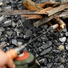 Désherbage feux Machine brûleurs à gaz chalumeau gaz polyvalents torche Camp lance-flammes