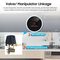 Détecteur de fuite de gaz Wifi alarme incendie conception murale contrôle APP Smart Wi-Fi Natura testeur de gaz/GPL avec écran LCD