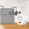 Détecteur de gaz combustible intelligent LPG gaz naturel méthane capteur de fuite de gaz combustible connexion WIFI contrôle APP