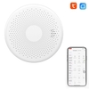 Détecteur de monoxyde de carbone intelligent Tuya WiFi 2 en 1 détecteurs de gaz CO