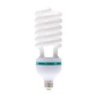 E27 220V 150W 5500K photo Studio ampoule Photographie torche vidéo lumière lampe du jour