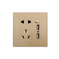 Electric Outlet with 2 Sockets and 2 USB Ports Wall Mount Socket (Gold)