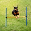 En plein air Pet agilité Jeux de sports Schulungstechnik Chiens Jump Hurdle Bar Obéissance Montrer l