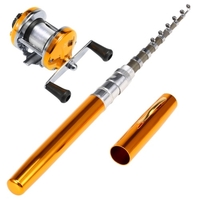 Ensemble de combos de canne à pêche télescopique pour canne à pêche
