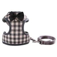 Ensemble de harnais pour chien avec nœud papillon et harnais