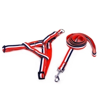 Ensemble de laisse et harnais ajustable Pet Dog 1.2m