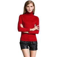 Fashion Winter Women Sweater Tricots manches longues à manches de tortue