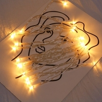 Fée Lampe USB 50LEDs Ball String Light Lumières décoratives pour la maison de mariage de Noël