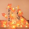 Feuilles D