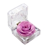 Fleur de rose véritable conservée dans une boîte transparente Rose éternelle parfumée à la fleur de rose éternelle