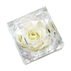 Fleur de rose véritable conservée dans une boîte transparente Rose éternelle parfumée à la fleur de rose éternelle