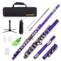 Flûte en C à trou fermé ammoon 16 touches Instrument à vent nickelé cupronickel