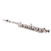 Flûte piccolo de Ottavino demi-taille argent plaqué Cupronickel clé C avec de la graisse de Cork rembourré boîte de tournevis chiffon de nettoyage