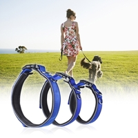 Forte Durable Chien Collier DuStrong Durable Chien Collier Double D-anneau Nylon Fixer Longueur de Bande Réglable Confortable Colliers pour animaux de compagnie pour les Petits Grands Moyens Chiens