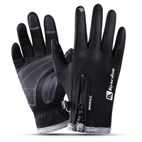 Gants chauds d
