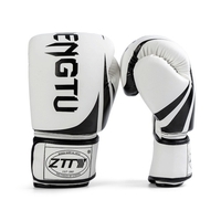 Gants de boxe Gants d