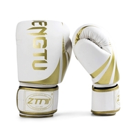 Gants de boxe Gants d