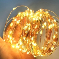 Guirlande lumineuse USB blanc chaud de 5 m avec boîtier de batterie Luminosité constante 50 perles de lampe fil de cuivre décoration romantique