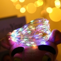 Guirlande lumineuse USB multicolore de 5 m avec boîtier de batterie Luminosité constante 50 perles de lampe fil de cuivre décoration romantique