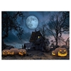 Halloween Thème Photographie Fond Portrait Photographie Décors avec Motif Citrouille Accessoires de Studio Photo pour Portrait Photos Décoration de Fête,  Taille 2.1 * 1.5 m/7 * 5ft