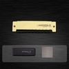 Harmonica Diatonic Blues Harmonica Key de do,  10 trous 20 tons Blues harpe bouche orgue Harmonica