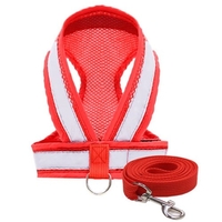 Harnais pour chien Ensemble de laisse pour chien Harnais et laisse pour animaux de compagnie pour marcher avec bande réfléchissante