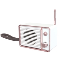 Haut-parleur BT Haut-parleur BT sans fil Portable BT 5.0 Appui téléphonique longue durée de vie de la batterie