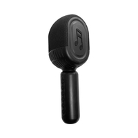 Haut-parleur sans fil HIFI pour microphone karaoké BT