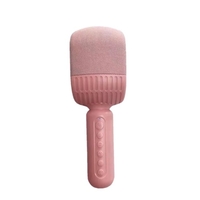 Haut-parleur sans fil HIFI pour microphone karaoké BT