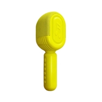Haut-parleur sans fil HIFI pour microphone karaoké BT