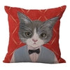 Housse de coussin chat décoratif polyester 18 * 18 pouces / 45 * 45cm décoratif