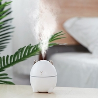 Humidificateur USB Mini Home Office Mute LED 200ml lampe atomiseur à LED
