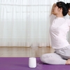Humidificateur USB portable avec diffuseur d