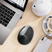 HXSJ X10 2.4G Souris verticale sans fil Souris ergonomiques DPI réglable à 3 vitesses Batterie au lithium rechargeable intégrée de 600 mAh Gris