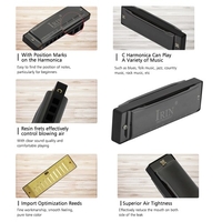 IRIN C-150 Blues Harmonica 10 Trous 20 Mélodies de Harmonicas en Cuivre Mouthorgan avec Boîte à Instruments à Vent Professionnels Noir