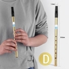 Irish Whistle Flute Key of D 6 trous Flute Wind Instruments de musique pour débutants intermédiaires Experts