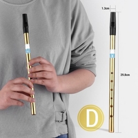 Irish Whistle Flute Key of D 6 trous Flute Wind Instruments de musique pour débutants intermédiaires Experts