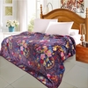Jambon cru motif imprimé flanelle couverture lit feuille literie Accueil Textiles Reine taille 200 * 230CM