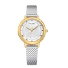 JYYLK0005 Femmes Montre Quartz Simple Montre-Bracelet Mode Casual Femmes Montres