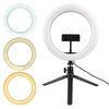 Kit de lumière de remplissage annulaire RVB 26CM/10IN Lampe de bureau colorée Muiti avec télécommande et support 3200K-6000K 26 effets d