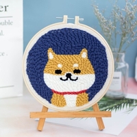 Kit de matériel de broderie bricolage Poke Set de broderie