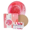 Kit de peinture pour tissu 4 couleurs 60 ml chaque bouteille de peinture textile