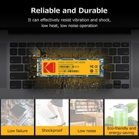 Kodak X300 M.2 SSD Disque SSD Haute Vitesse 480GB pour Ordinateur Portable AIO