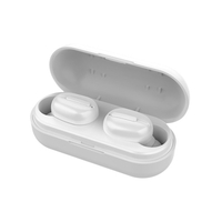 L13 Mini BT 5.0 Earphones Wireless Sports Headphones Waterproof Headsets Earbuds with Microphone Charging Box