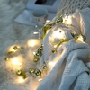 La ficelle de Noël LED allume la lumière blanche chaude de 6.6ft 20 LED à piles