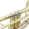 LADE Professional Bb Flat Cornet Brass Instrument avec mallette de transport Gants Chiffon de nettoyage Brosses