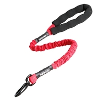 Laisse élastique pour animaux de compagnie DODOPET Dog Pet