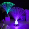 Lampe à fibre optique colorée Atmosphère romantique Fibre optique écologique Dégradé coloré Changement de couleur Décoration (Type de batterie de base en argent)