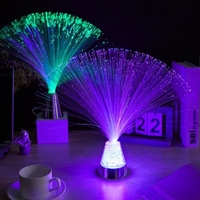 Lampe à fibre optique colorée Atmosphère romantique Fibre optique écologique Dégradé coloré Changement de couleur Décoration (Type de batterie de base en argent)
